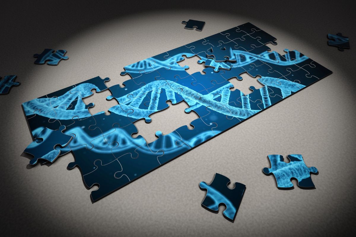 Il significato di familiarità genetica: cosa vuol dire “corredo ereditario”?