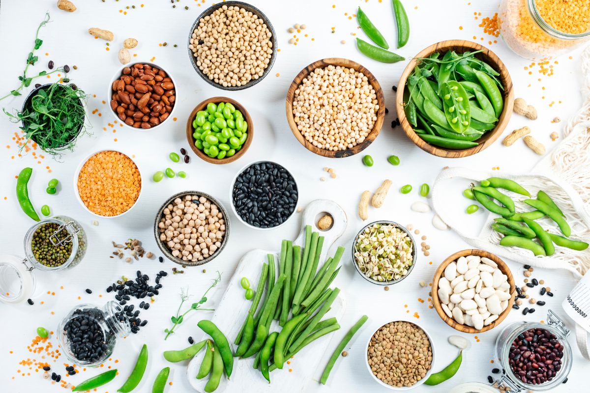 Micro e macronutrienti: variabilità individuale nell’assorbimento e nel trasporto