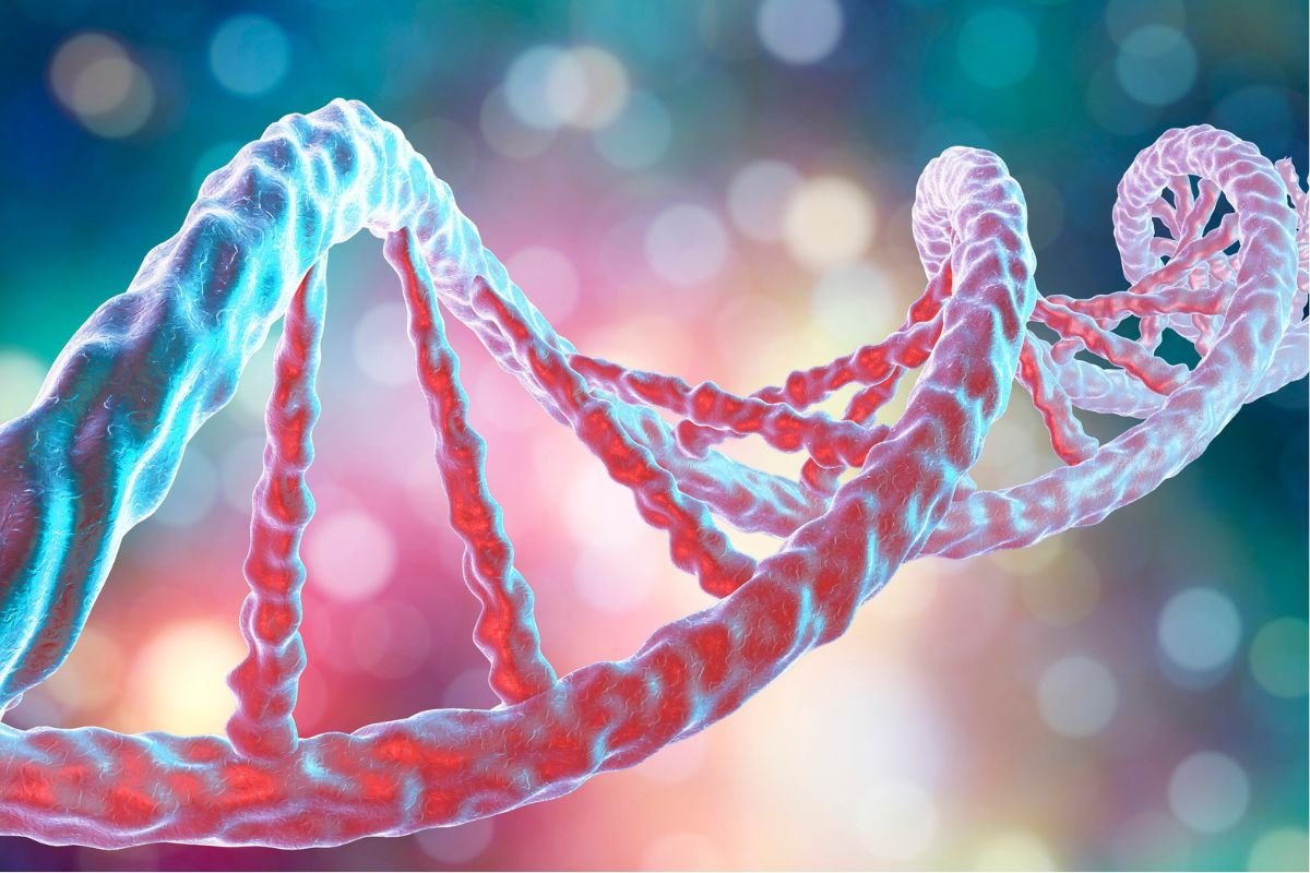 Test genetico per la salute: cosa puoi scoprire sul tuo corpo