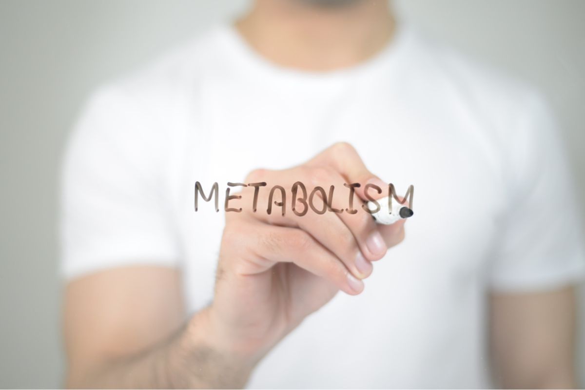 La scienza del metabolismo basale: quanto conta davvero la genetica nel peso corporeo?