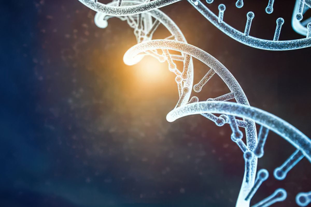 Il tuo DNA influenza le tue scelte? Tra genetica e comportamento umano