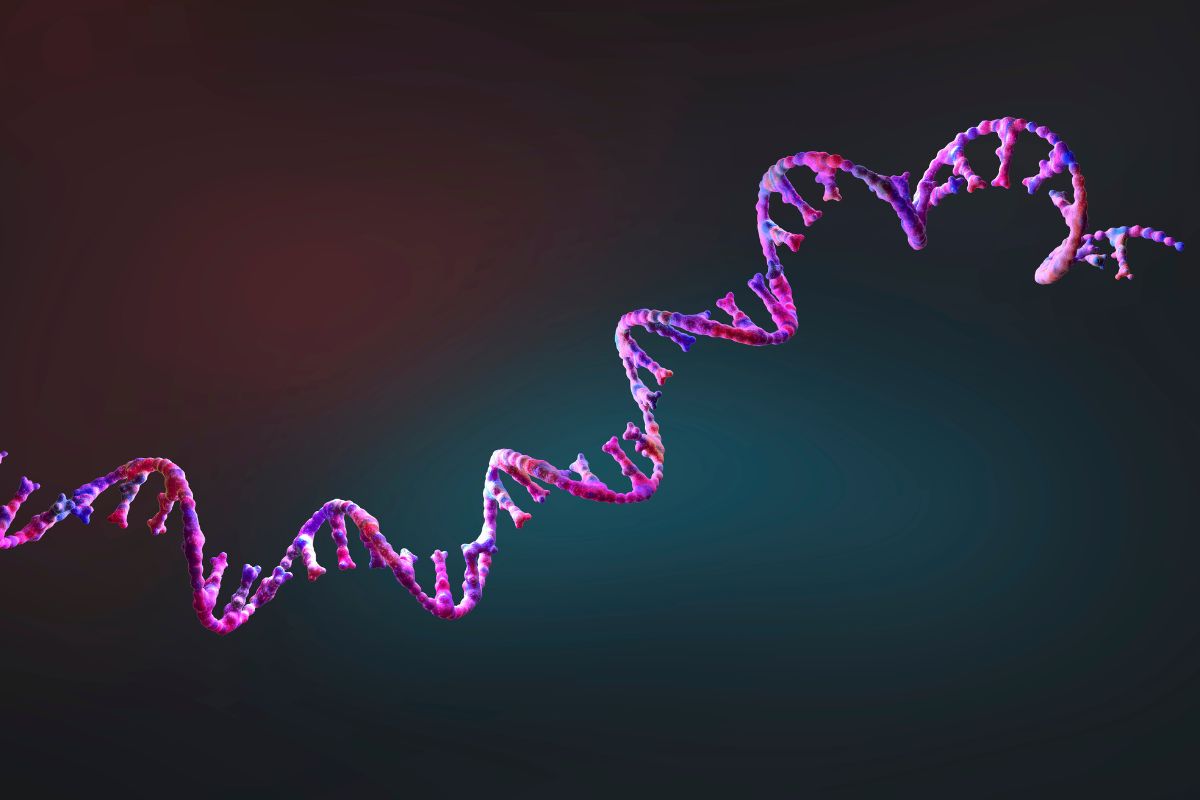 Perché alcuni cercano sempre il rischio? Genetica e comportamento umano