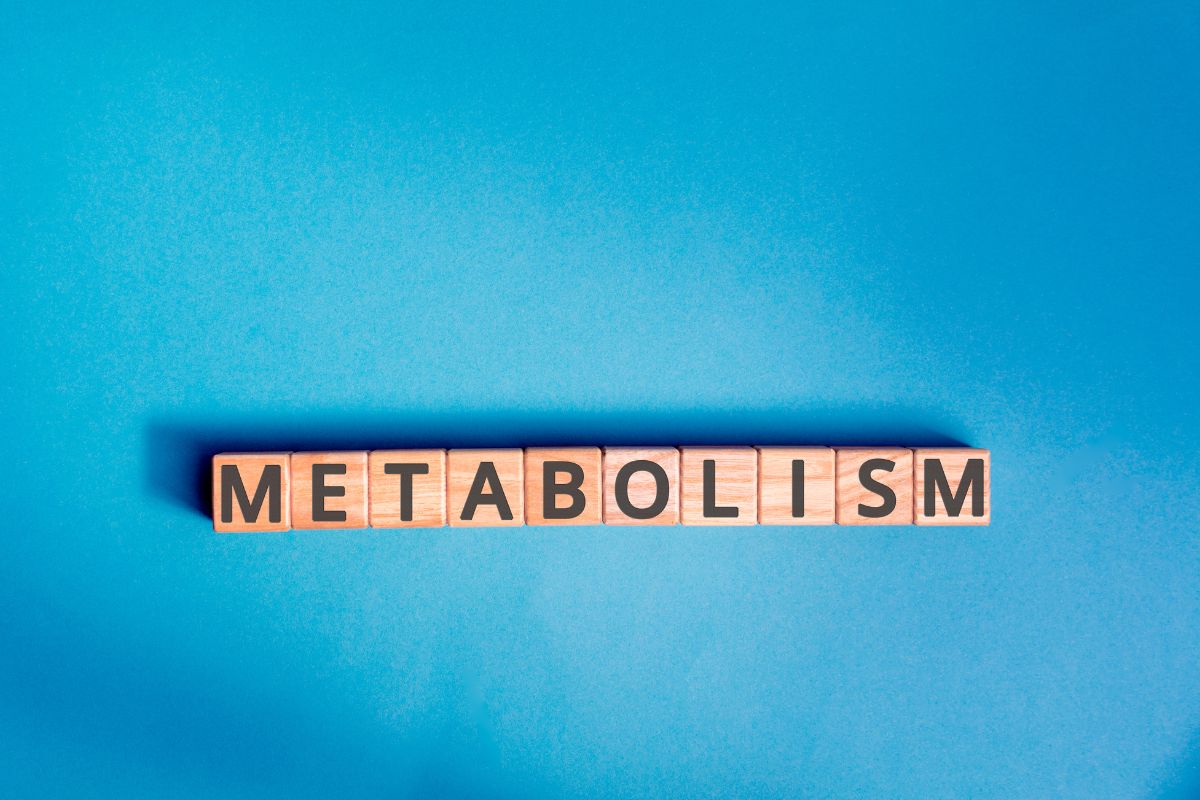 Perché non riesci a dimagrire (anche se segui una dieta): le possibili cause scientifiche
